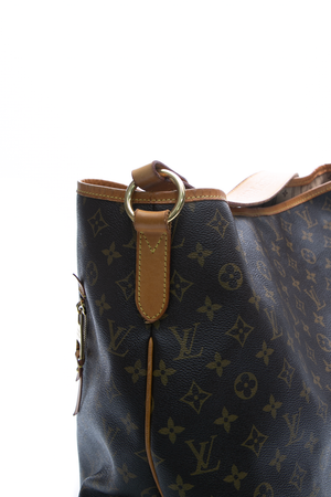 Louis Vuitton Delightful GM Bag