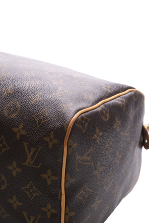 Louis Vuitton Speedy 30 Bag