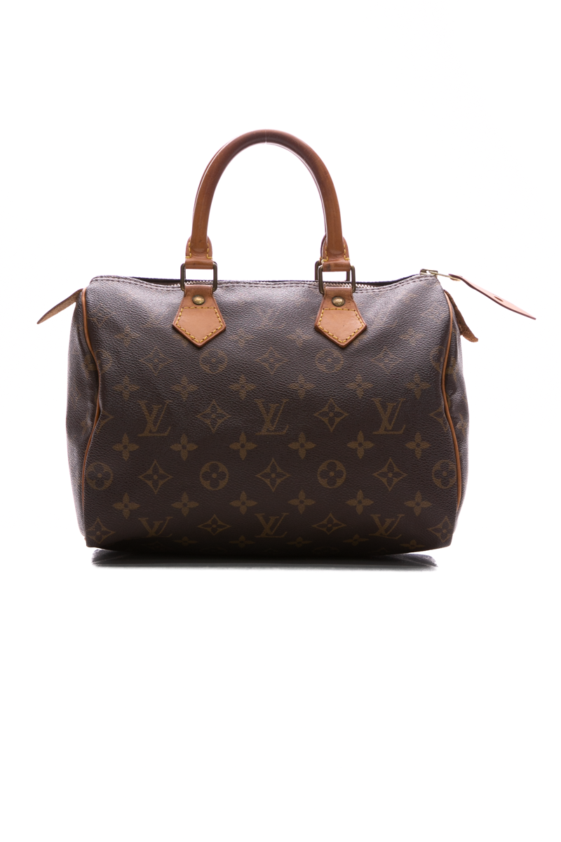 Louis Vuitton Speedy Bags