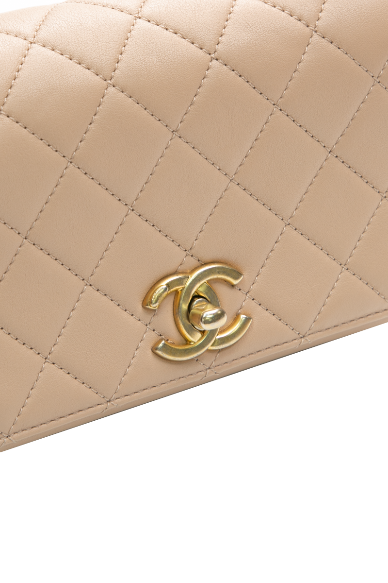 Mini Pearl Chain Flap Bag