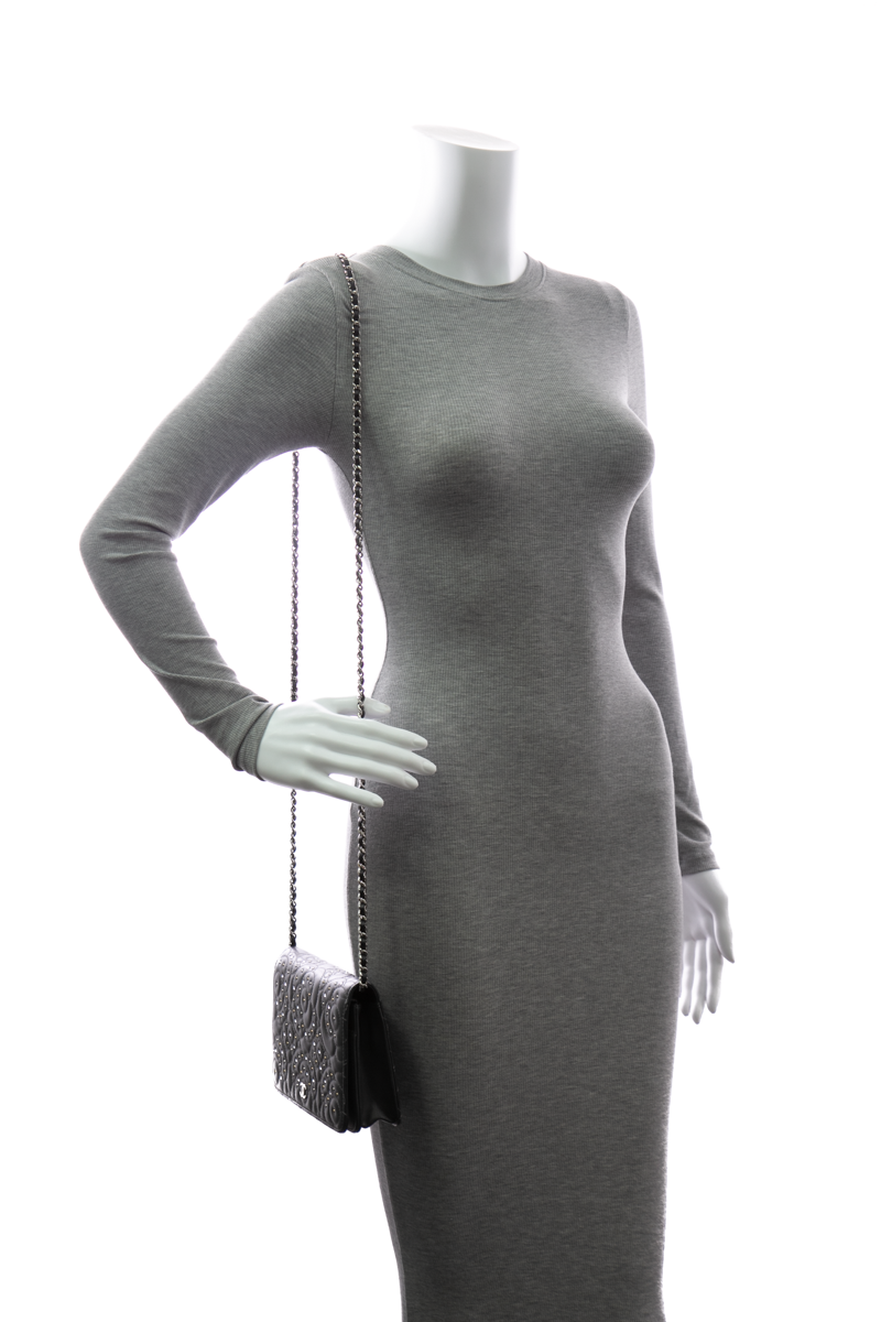 Camelia Wallet on Chain