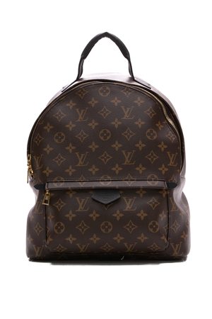 Louis-Vuitton-Palm-Springs-MM- Backpack-289800