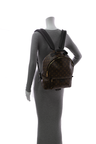 Louis-Vuitton-Palm-Springs-MM- Backpack-289800