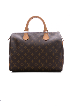 Louis-Vuitton-Speedy-30-Bag-289168