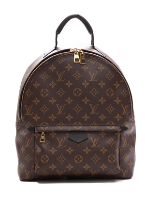 Louis-Vuitton-Palm-Springs-MM- Backpack-289890