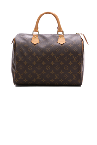 Louis-Vuitton-Speedy-30-Bag-291013