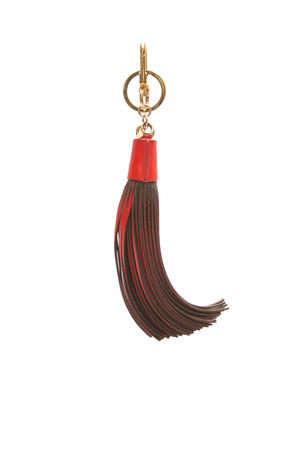 Tassel Key Chain and Bag Charm