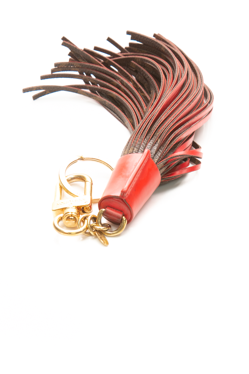 Tassel Key Chain and Bag Charm