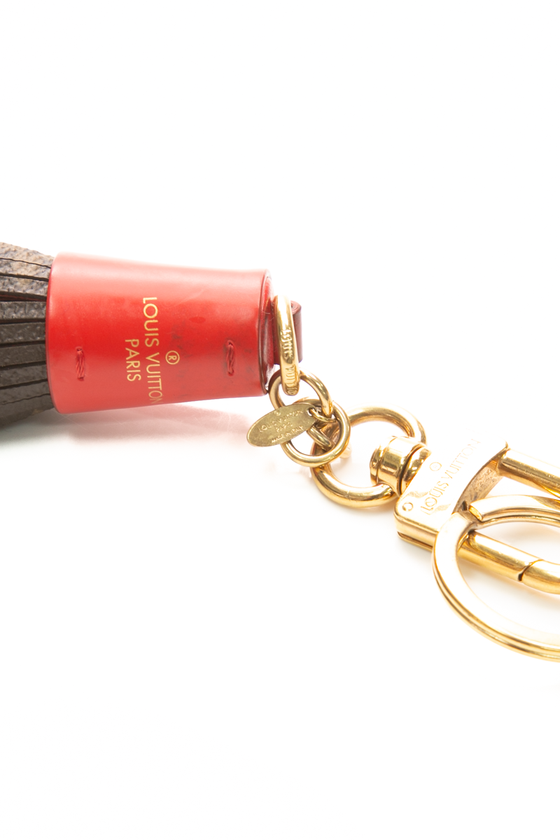 Tassel Key Chain and Bag Charm