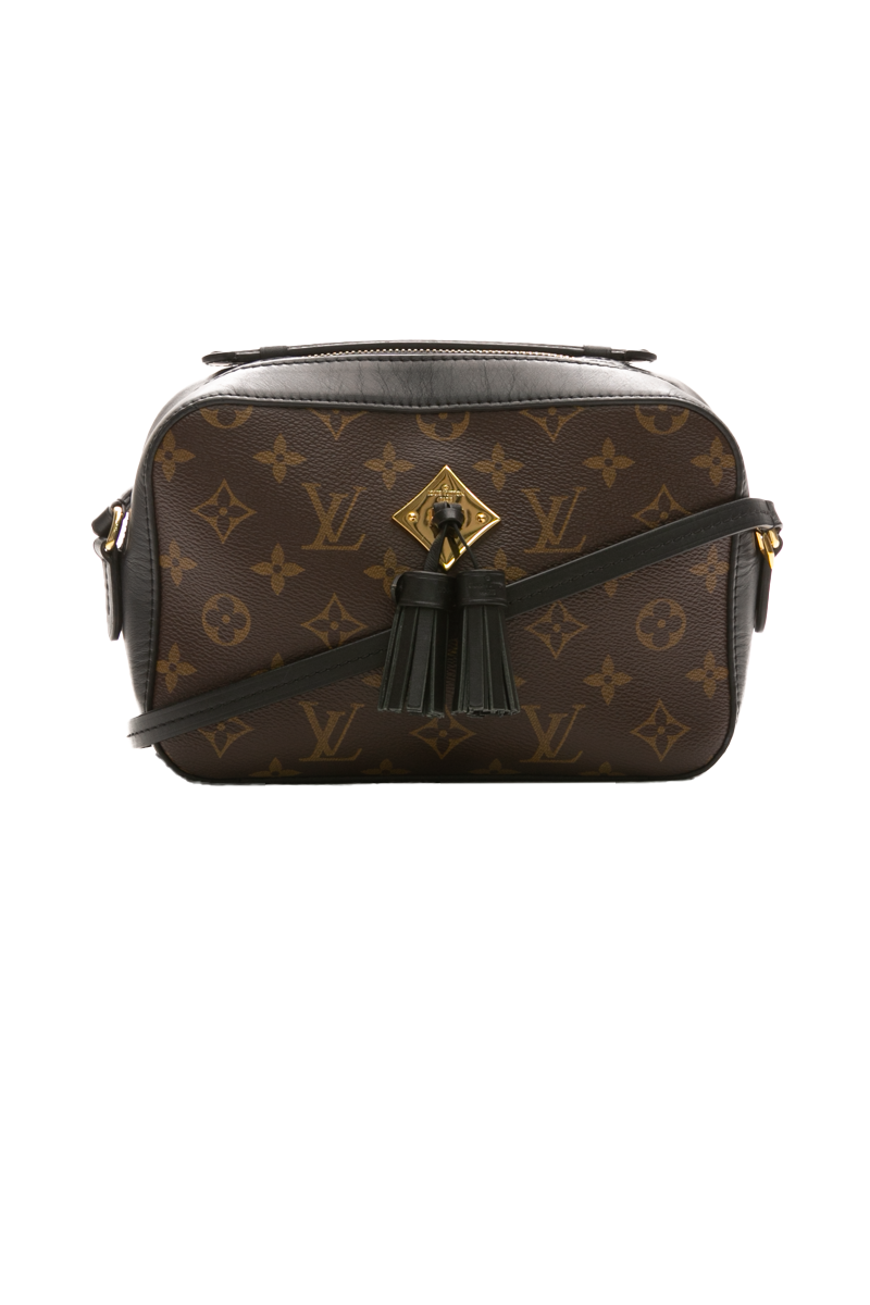 Louis-Vuitton-Saintonage-Bag-295392