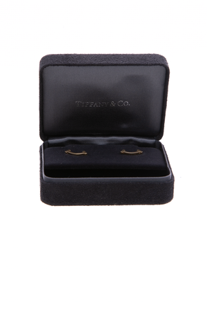 T Smile Earrings