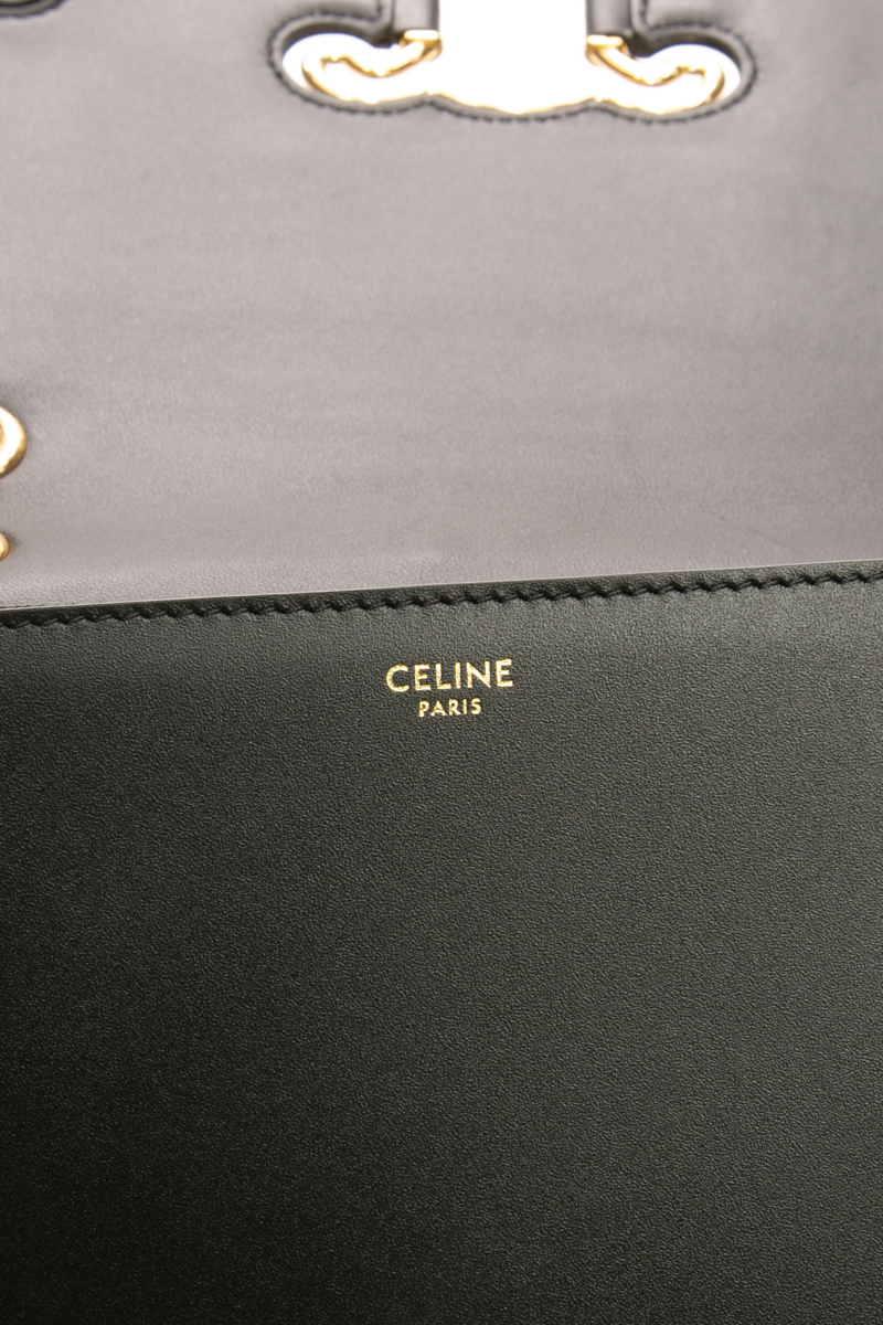 Triomphe Medium Frame Bag