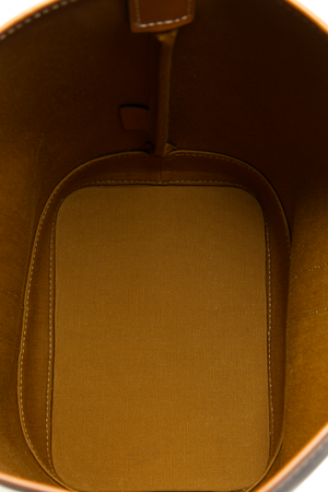 Small Triomphe Bucket Bag