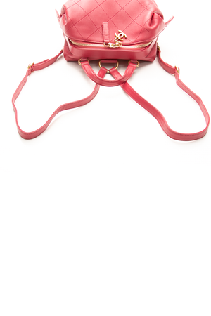 Stitched Frame Backpack
