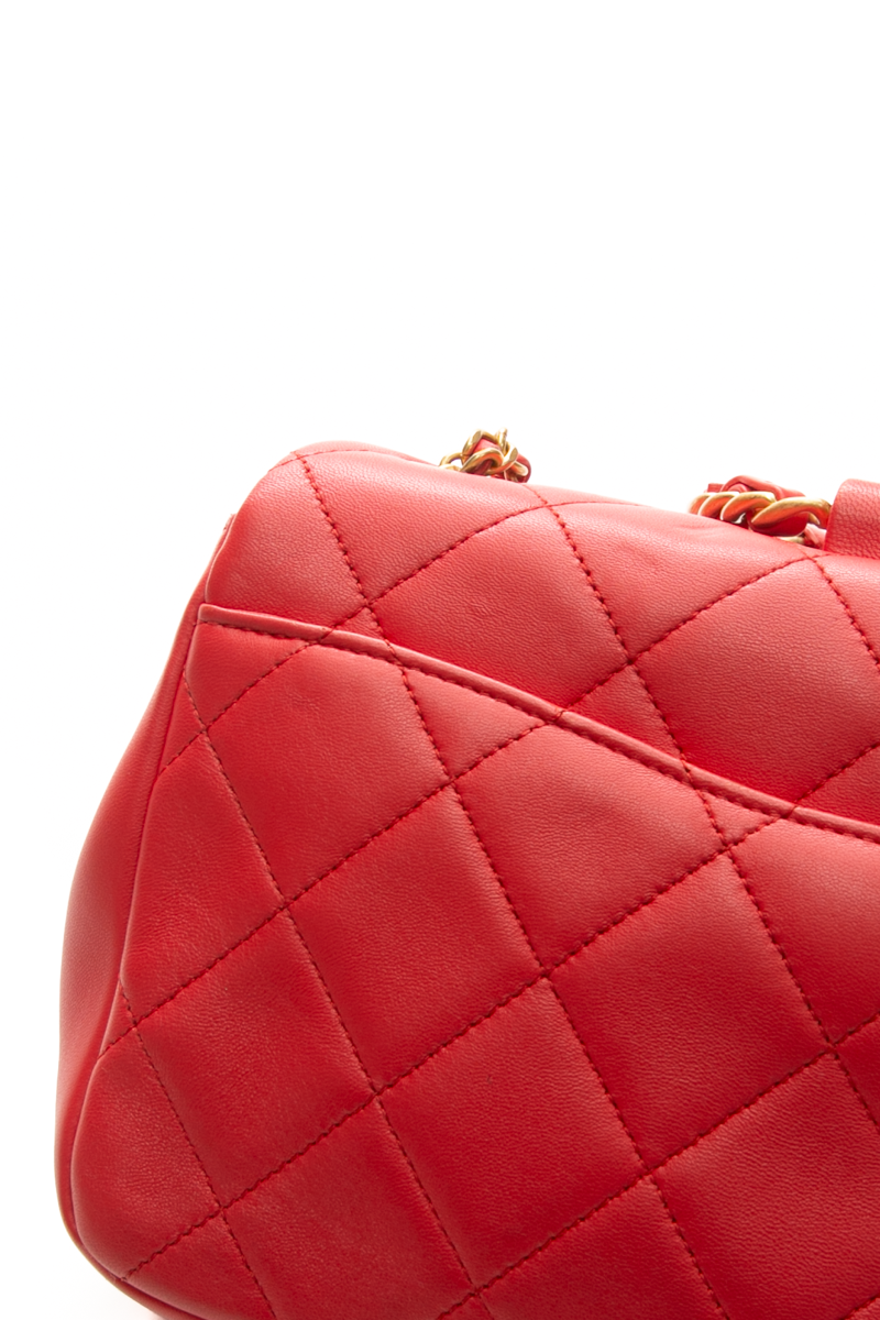 Medium In The Loop Bag