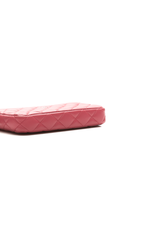 Double Zip Clutch on Chain