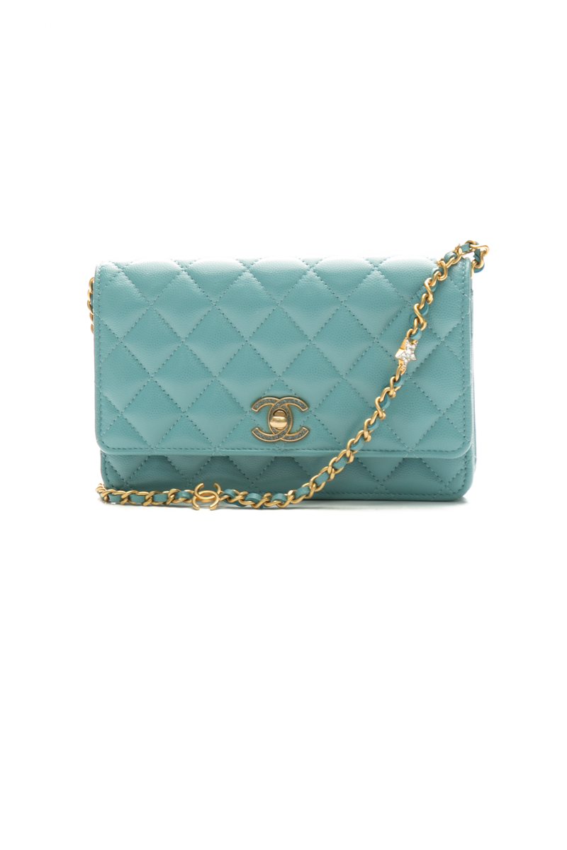 Chanel-Roller-Skate-Wallet-on-Chain-296045