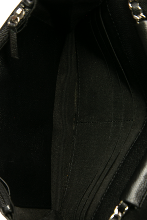 Sevruga Wallet on Chain