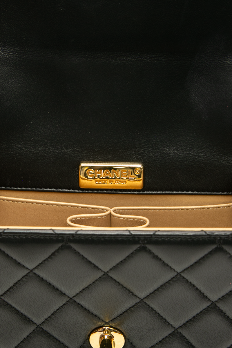 Golden Plate Mini Top Handle Bag