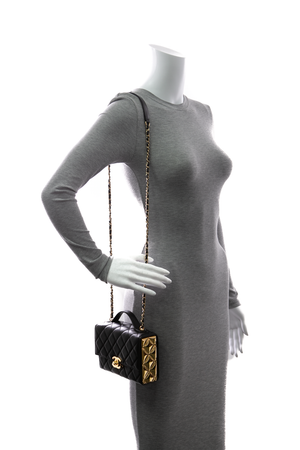 Golden Plate Mini Top Handle Bag