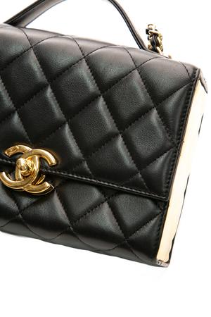 Golden Plate Mini Top Handle Bag