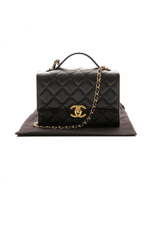 Golden Plate Mini Top Handle Bag