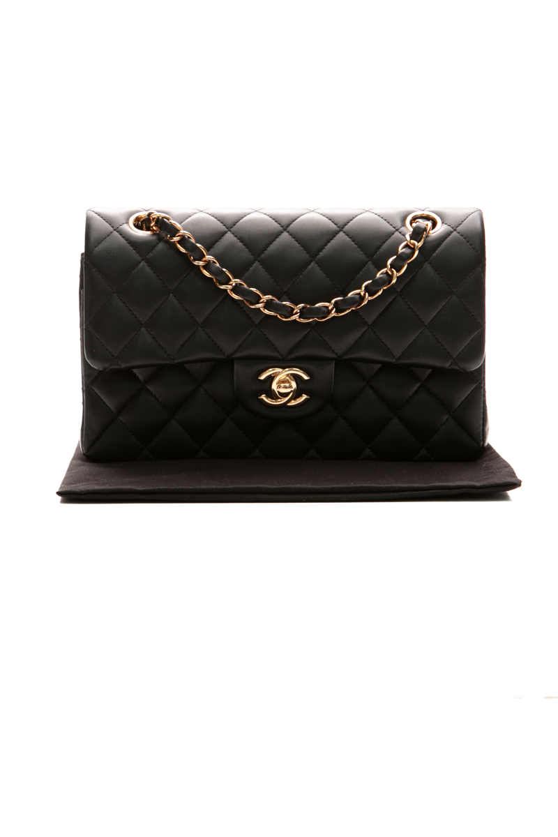 Classic Small Double Flap Bag