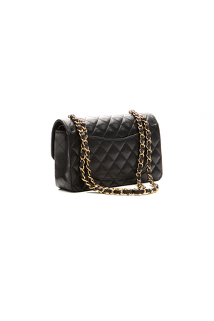 Classic Small Double Flap Bag