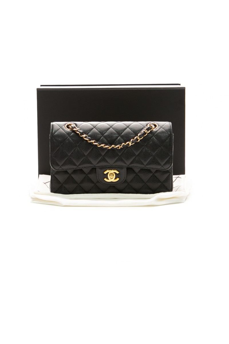 Classic Small Double Flap Bag
