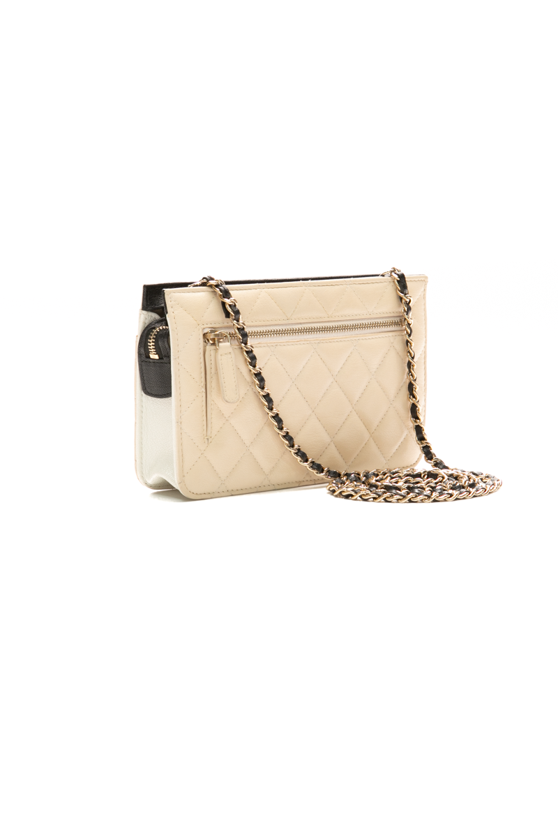 Multi-Pocket Wallet on Chain Bag