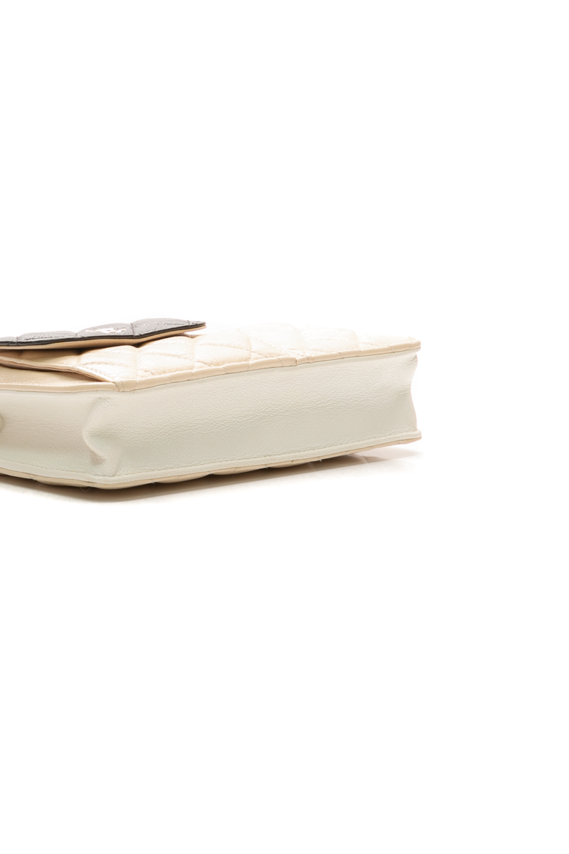 Multi-Pocket Wallet on Chain Bag