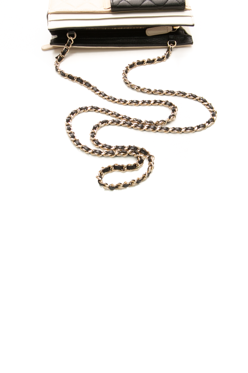 Multi-Pocket Wallet on Chain Bag