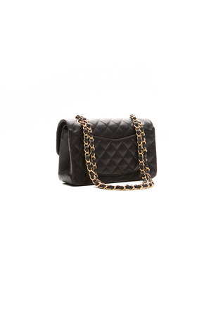 Classic Small Double Flap Bag