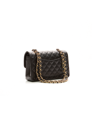 Classic Small Double Flap Bag