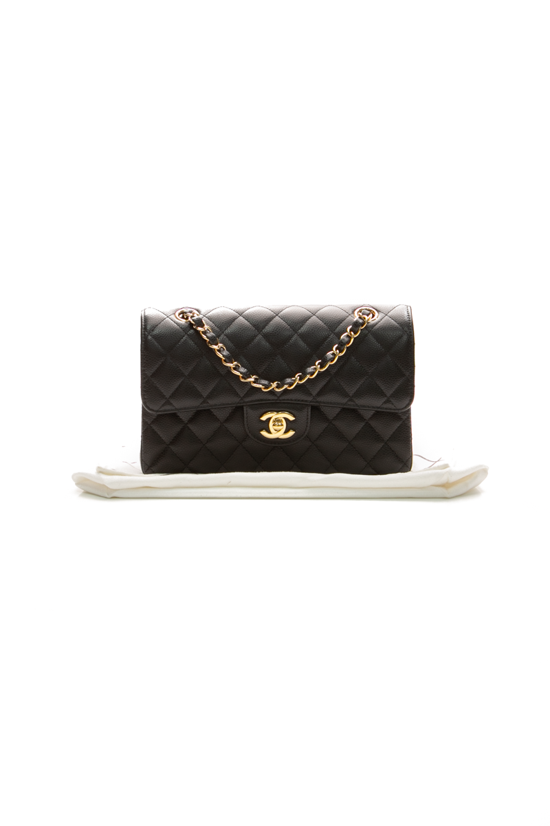 Classic Small Double Flap Bag