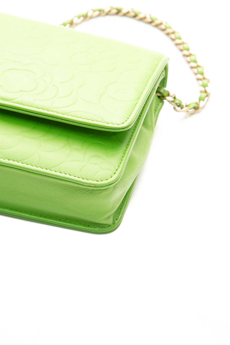 Camellia Wallet on Chain
