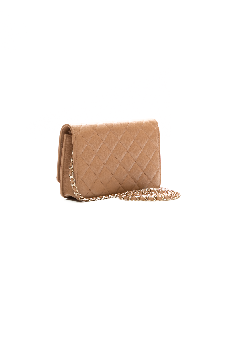 Oversized CC Wallet on Chain