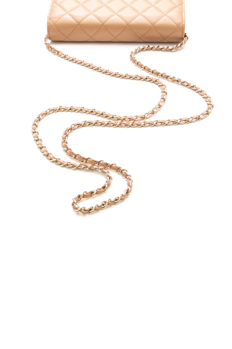 Oversized CC Wallet on Chain