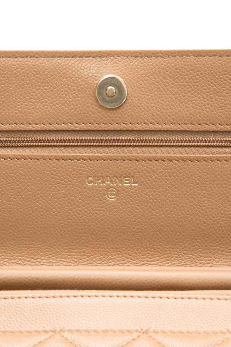 Oversized CC Wallet on Chain