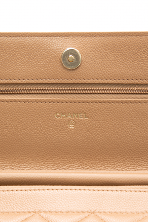 Oversized CC Wallet on Chain