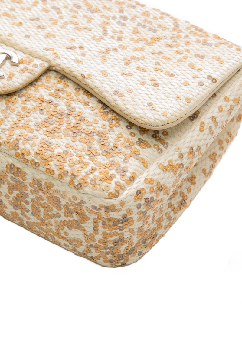 Sequin Single Flap Bag