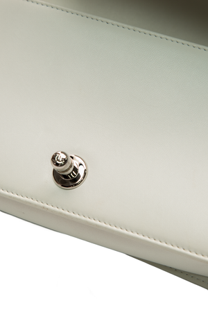 Small Lizard Boy Bag