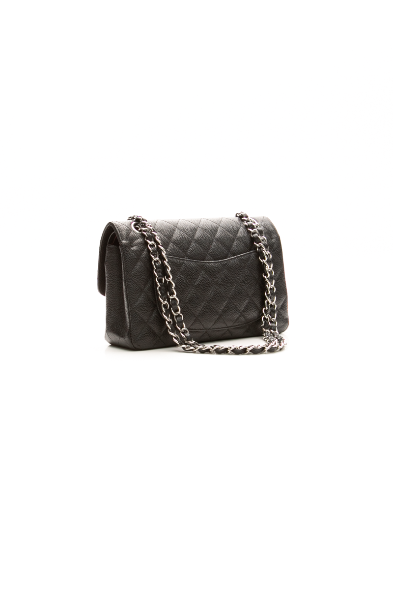 Classic Small Double Flap Bag