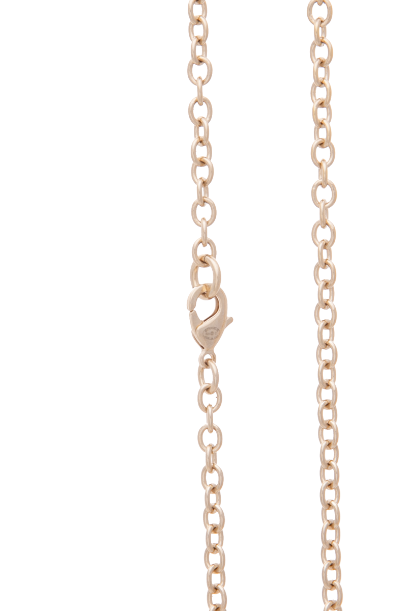 CC Lion Book Locket Necklace