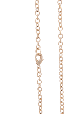 CC Lion Book Locket Necklace