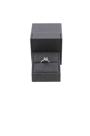 Chatelaine Ring - Size 5