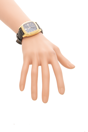 Thoroughbred Watch