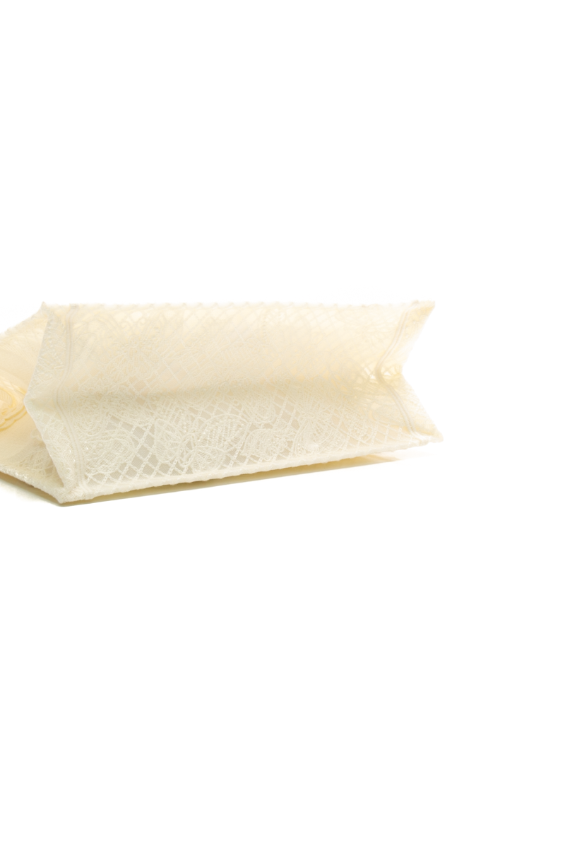 Butterfly Medium Dior Book Tote