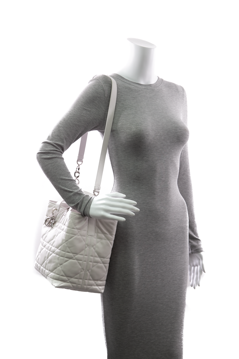 Small Dior Toujours Vertical Tote Bag