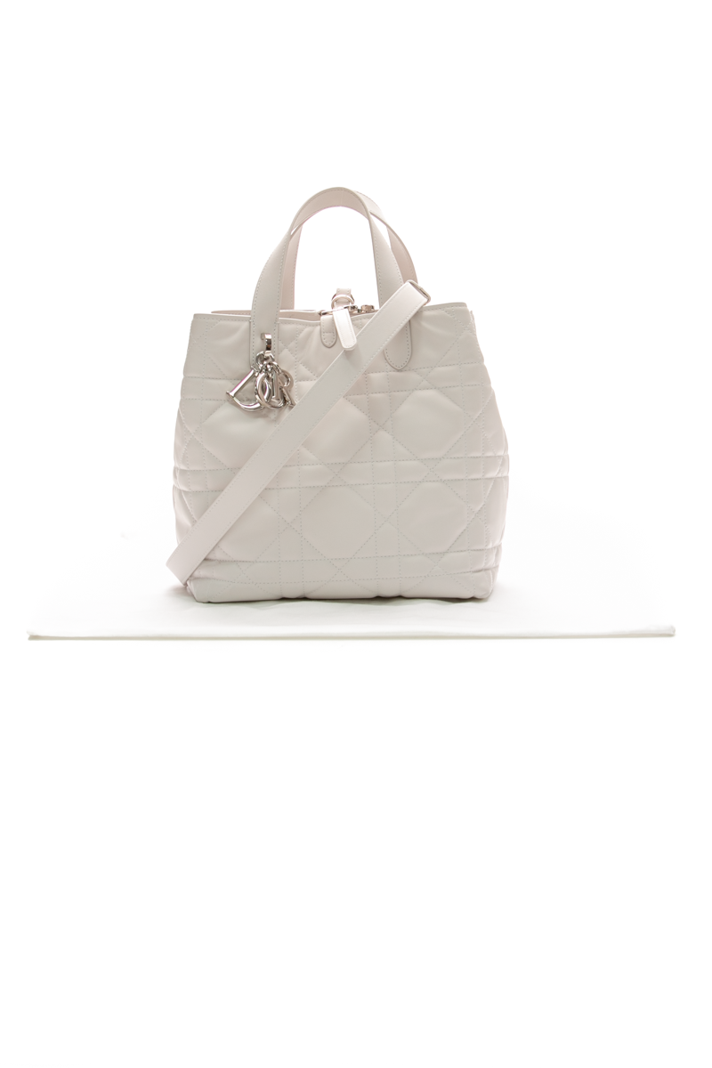 Small Dior Toujours Vertical Tote Bag